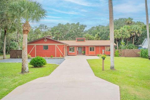 A home in FLAGLER BEACH