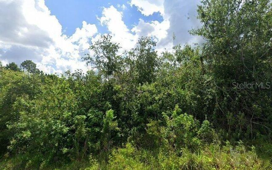 This lot would be a great place to build your dream home. Less than 10 miles to I75 makes this location an easy commute to almost anywhere. 10,000sqft parcel for sale in Charlotte County in Port Charlotte. 80x125 ft parcel off a paved road. This area is developing with Single Family Homes. Whether it's for your starter home, vacation home or you are adding to your investment portfolio. Flood Zone AE. Located minutes from warm mineral springs, beaches and sunsets. Close to shopping centers and restaurants with built-homes selling in the mid 300's. Take advantage while taxes and prices are low. This lot is priced to sell. Not in a Scrub Jay Permit required area.