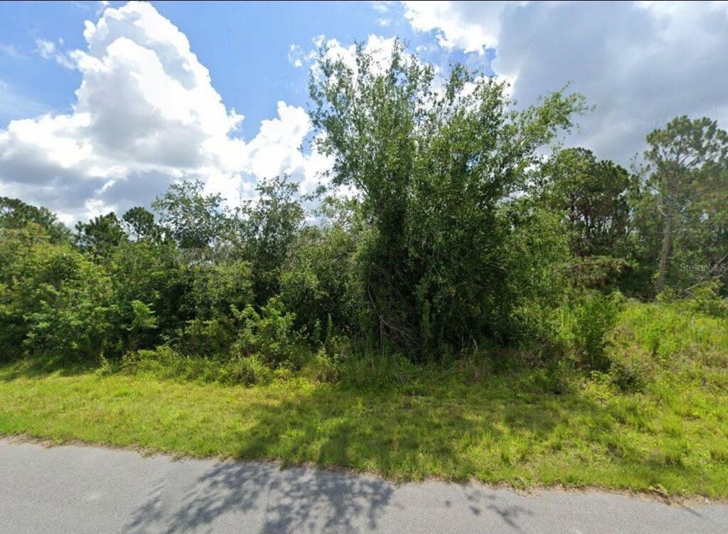 Photo of 2336 Drennon Street, Port Charlotte, FL 33953 (MLS # W7884334)