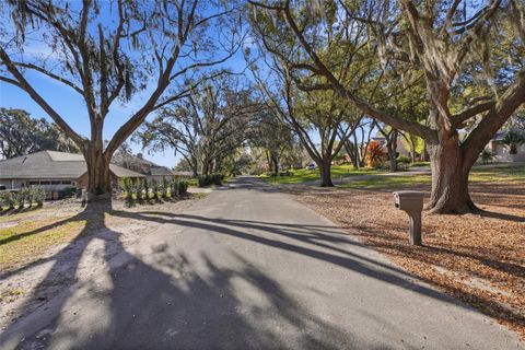 Tiny photo for 12120 Elbert Street, Clermont, FL 34711 (MLS # G5102842)