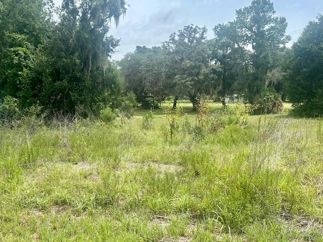 LIVE OAK GOLF & COUNTRY CLUB ESTATES - Land