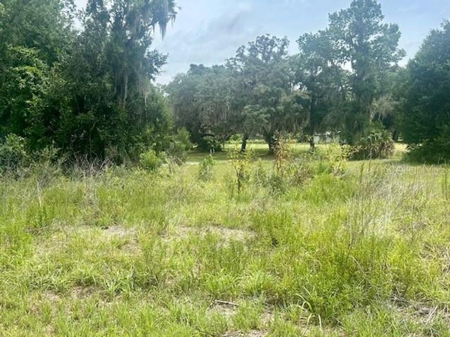 Build Your Dream Home!
Beautiful lot in the growing Live Oak Golf & Country Club Estates community. Enjoy peaceful Old Florida scenery with views of trees and the golf course beyond. Just minutes from the St. Johns River and Lake George, with several nearby boat ramps for fishing and kayaking. Convenient to local favorites like The Oaks Golf Course Restaurant, Renegades, and Idle Awhile. Power nearby and community water provided by River Park Management. Don't miss this opportunity to build in a scenic golf community!