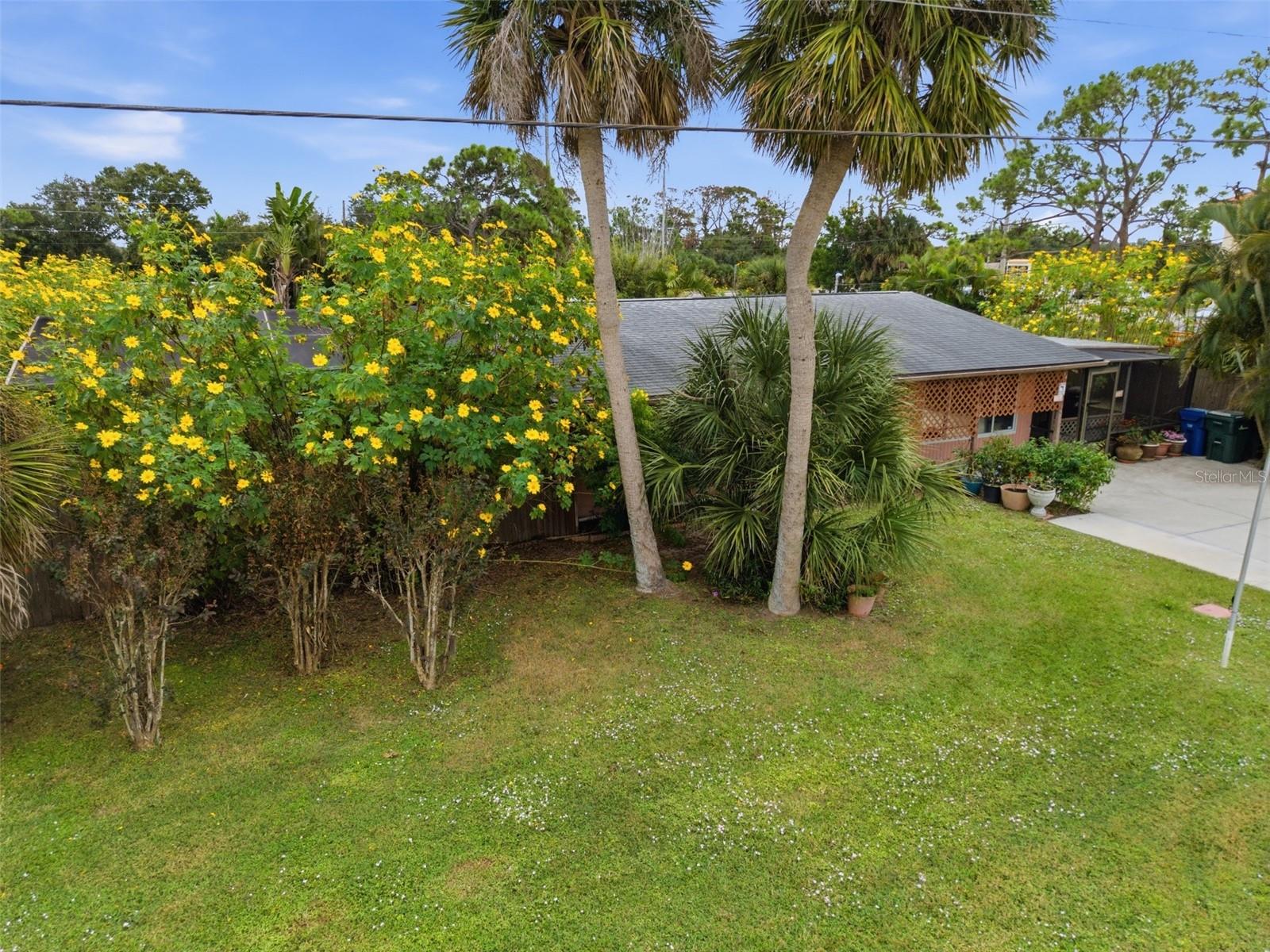 PINELAND SUB - Residential