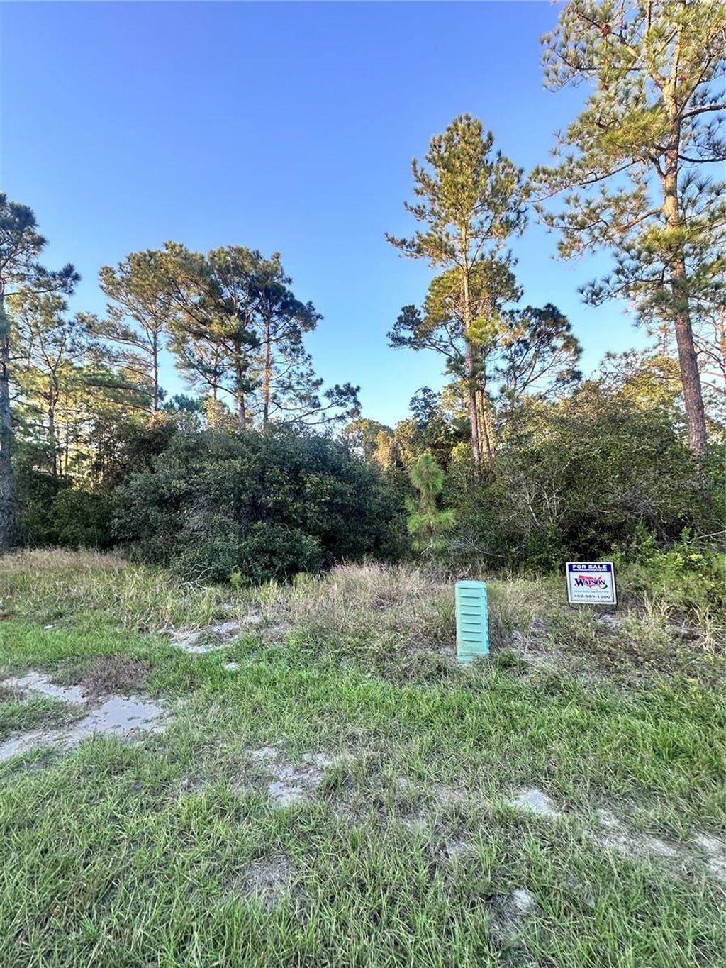 Photo of 1566 Marlin Drive, Kissimmee, FL 34759 (MLS # O6347745)