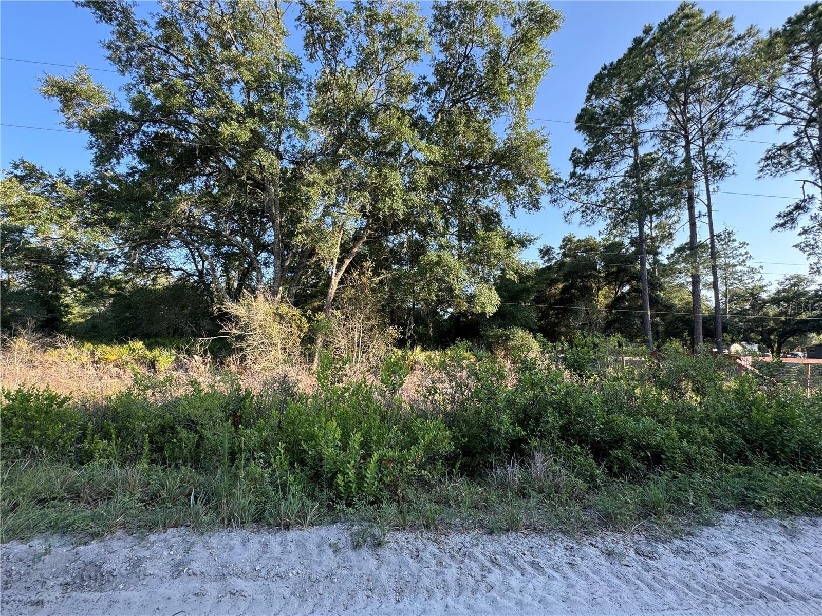 FLORIDA HIGHLANDS - Land