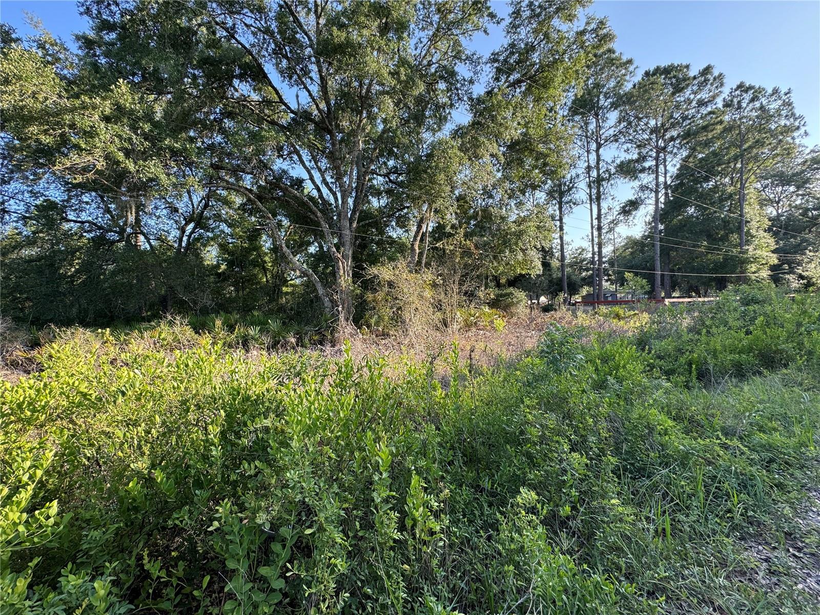 FLORIDA HIGHLANDS - Land