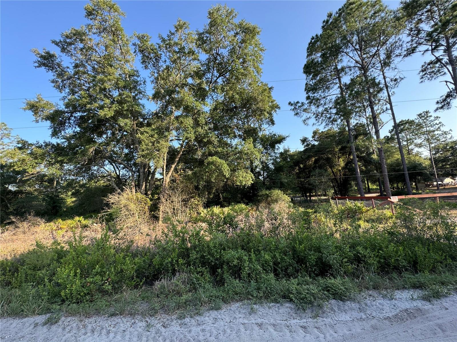 FLORIDA HIGHLANDS - Land