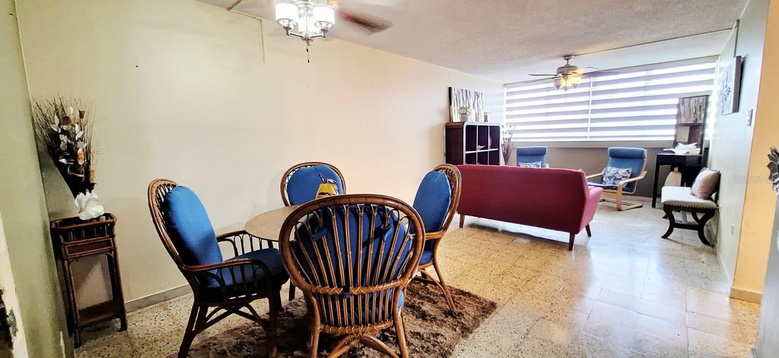#631 CALLE PEREIRA LEAL Apt. 513