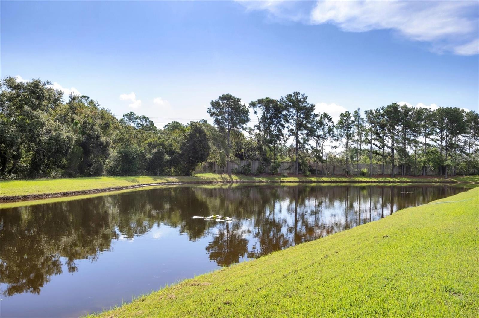 TATUM RIDGE - Residential