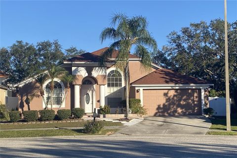 A home in TAMPA