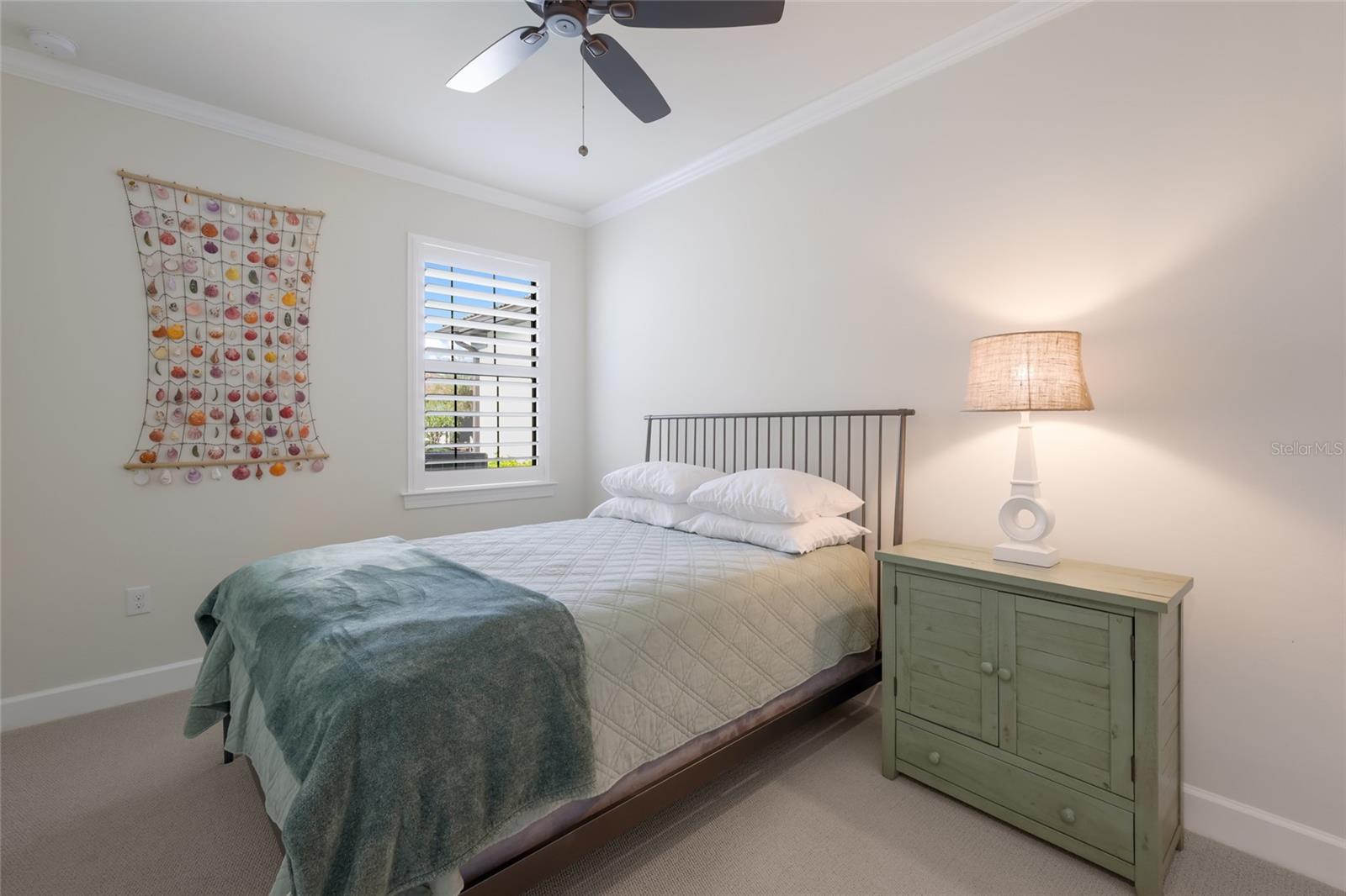 HAMMOCK PRESERVE - Residential