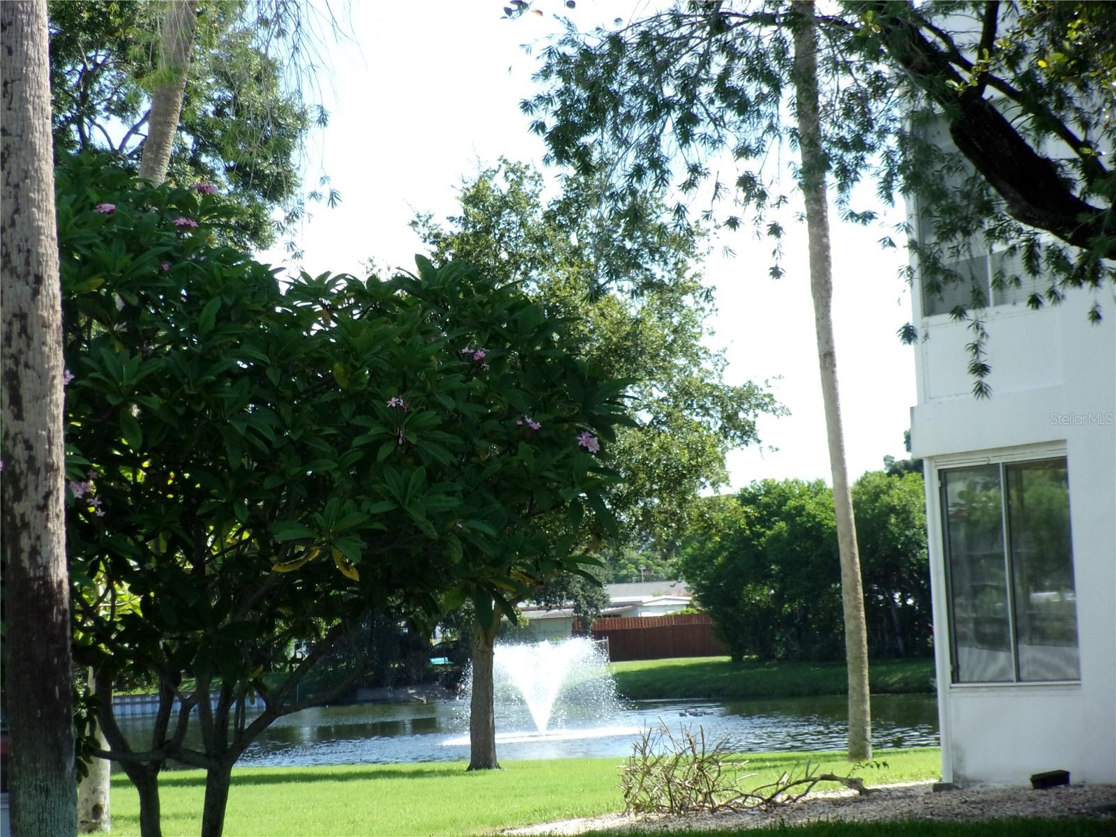 SEMINOLE GARDEN APTS CO-OP - Residential