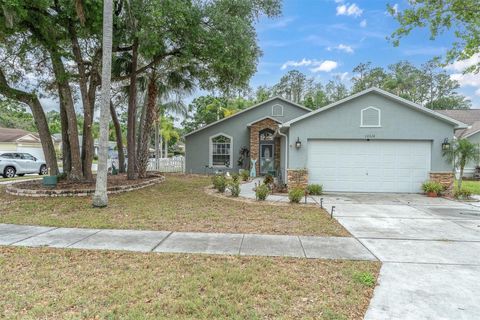 10316 COPPERWOOD DRIVE NEW PORT RICHEY FL 34654