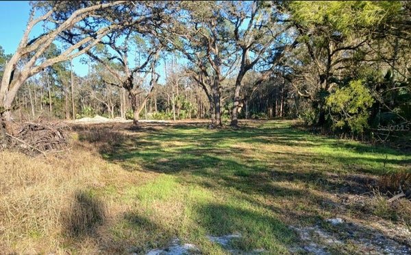 1013 CUPID AVE, CHRISTMAS, FL 32709 - Image 76f0f34912decda154ebbc9c9987afd8/3366568808