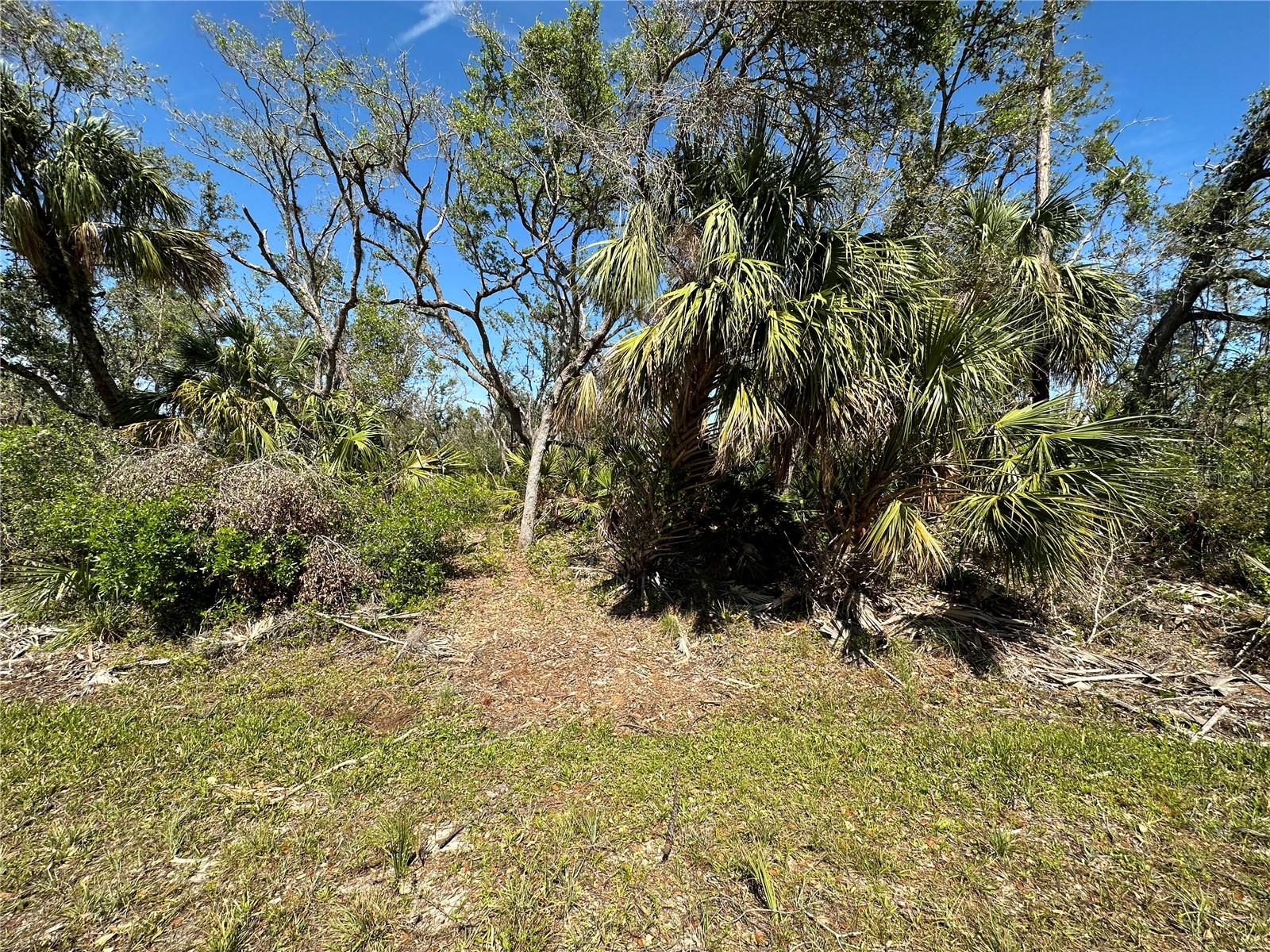 Residential building lot in the developing area of Northwest Port Charlotte. This area features the Sports Park, the new development of West Port and new homes being built all throughout this area. From this location, there is the public boat launch on Chancellor Blvd as well as nearby El Jobean. Just two miles away is the beautiful Centennial Park with the ball fields, disc golf, fitness center, pool, walking trails. Drive around and see all the new homes scattered about in this community. Ideally located with North Port just to the north and all the shopping and restaurants of Port Charlotte within 10 minutes. The favorite fishing spots are off the Myakka River and great boating in Charlotte Harbor and the Gulf of Mexico. Easy drives to the beaches of Boca Grande, Englewood and Venice. A local builder can help you design your Florida home.