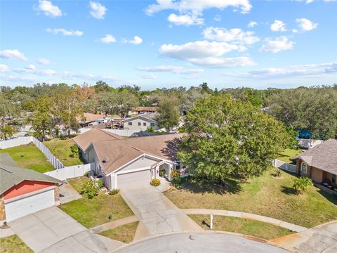 A home in TARPON SPRINGS