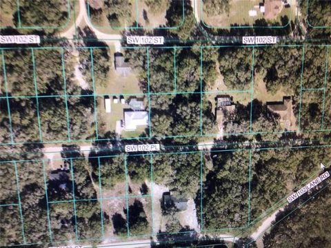 Photo of 0 SW 102 Place, Dunnellon, FL 34432 (MLS # OM727449)