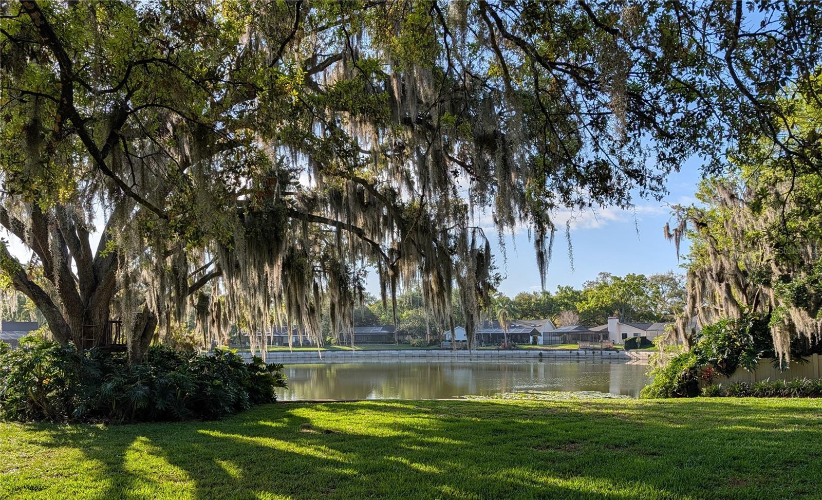 LAKE MAGDALENE MANORS - Residential