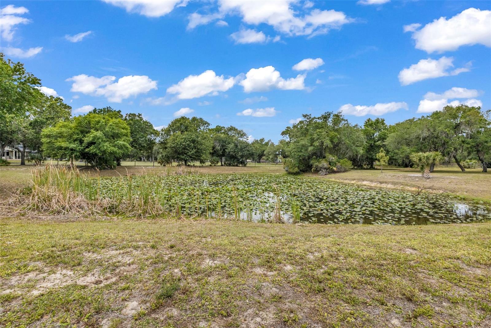 SUNCOAST ESTATES - Residential