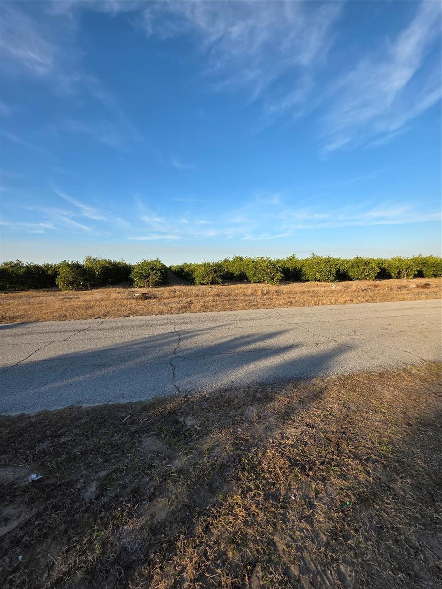 LAKE LETTA ESTATES SUB - Residential