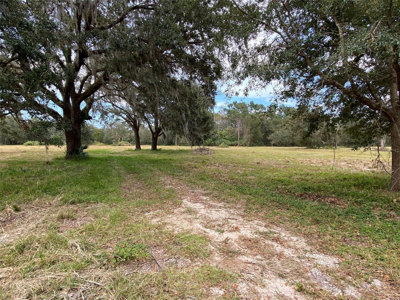 Beautiful partly cleared 9 acres that backs up to State Road 415. Zoned for agricultural use. Beautiful mature hammock of oak trees and scenic pond. Amazing property. Close to Deep Creek and Lake Ashby boat ramp. This property would be the perfect place to build your country home.