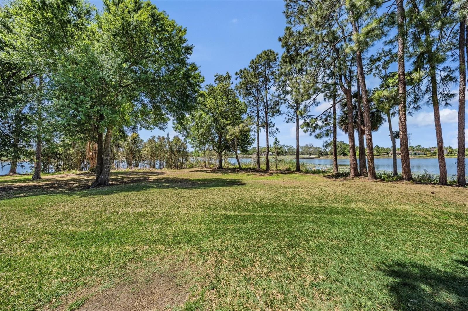 OLD MEMORIAL SUB PH - Residential