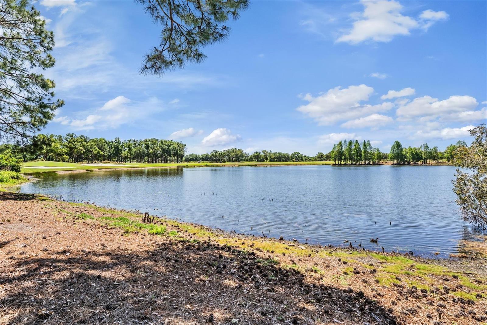 OLD MEMORIAL SUB PH - Residential