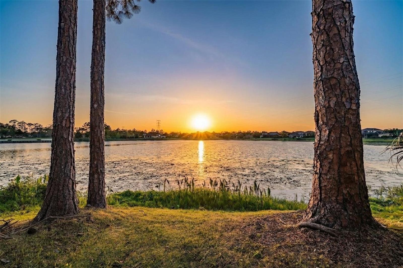 OLD MEMORIAL SUB PH - Residential