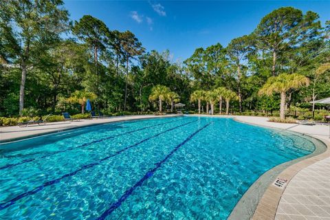 A home in LAND O LAKES