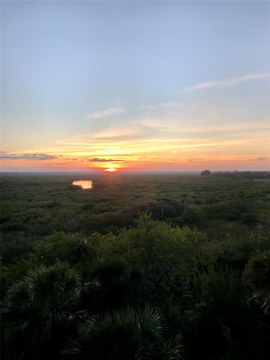 Ocean Walk New Smyrna Beach - Residential
