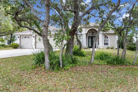 1 HACKBERRY COURT S HOMOSASSA FL 34446