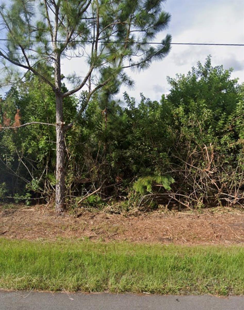 SAGINAW ROAD