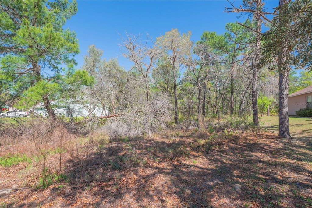 Photo of 16 Iberis Court, Homosassa, FL 34446 (MLS # TB8482538)