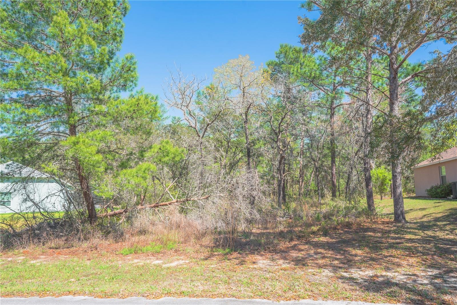 SUGARMILL WOODS OAK VILLAGE - Land