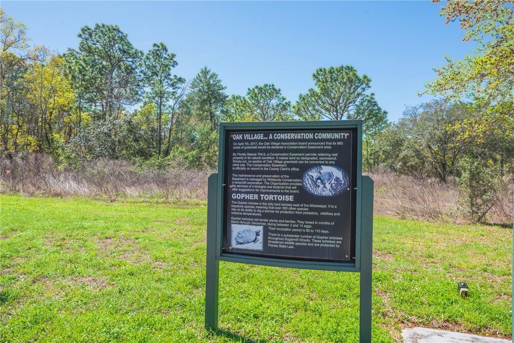 Photo of 16 Iberis Court, Homosassa, FL 34446 (MLS # TB8482538)