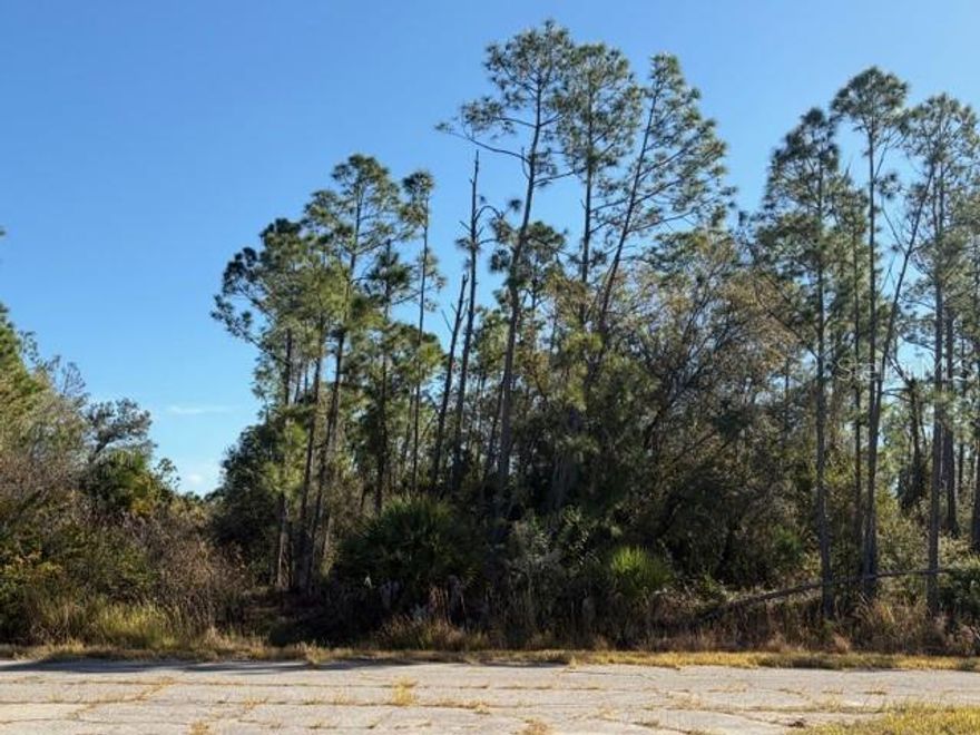 GREAT PROPERTY FOR FUTURE DEVELPMENT IN CITY OF NORTHPORT. FL. NEW/ CURRENT ZONING OF AC6/ ACTIVITY CENTER 6 ALLOWS FOR ESSENTIALLY ANY TYPE OF DEVELOPMENT OPPORTUNTY TO INCLUDE MULTl FAMILY, MIX USE, INDUSTRIAL.....TO CONFIRM PLEASE LOOK UP AC6 IN CITY OF NORTHPORT AND/OR CONFRIM WITH THE CITY ZONING OFFICALS.