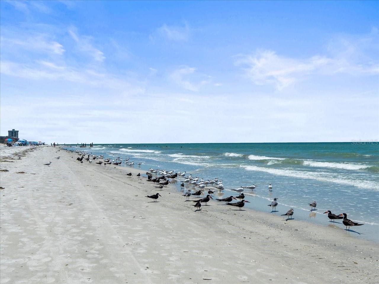 SUNSET VILLA CONDO - Land