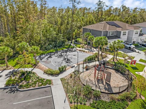 A home in KISSIMMEE