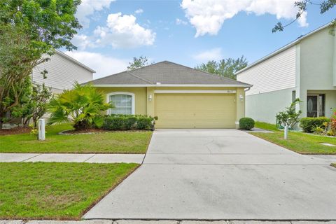 A home in RIVERVIEW