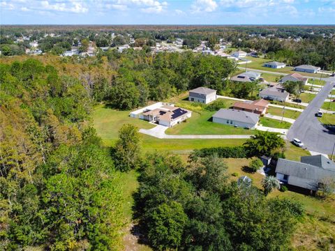 A home in KISSIMMEE