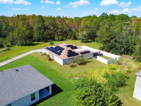 A home in KISSIMMEE