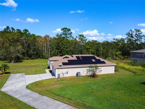 A home in KISSIMMEE