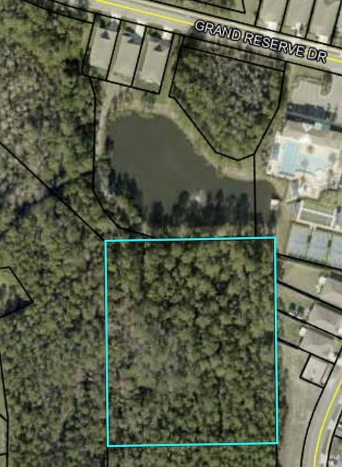SAND WEDGE LANE BUNNELL FL 32110