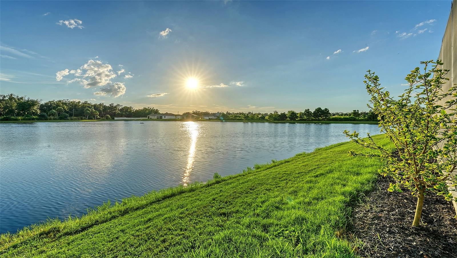 3929 MOSSY LIMB COURT, PALMETTO, FL, 34221 4 3929 MOSSY LIMB COURT