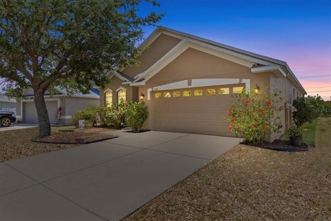 Photo of 8704 Sandy Plains Drive, Riverview, FL 33578 (MLS # TB8376693)