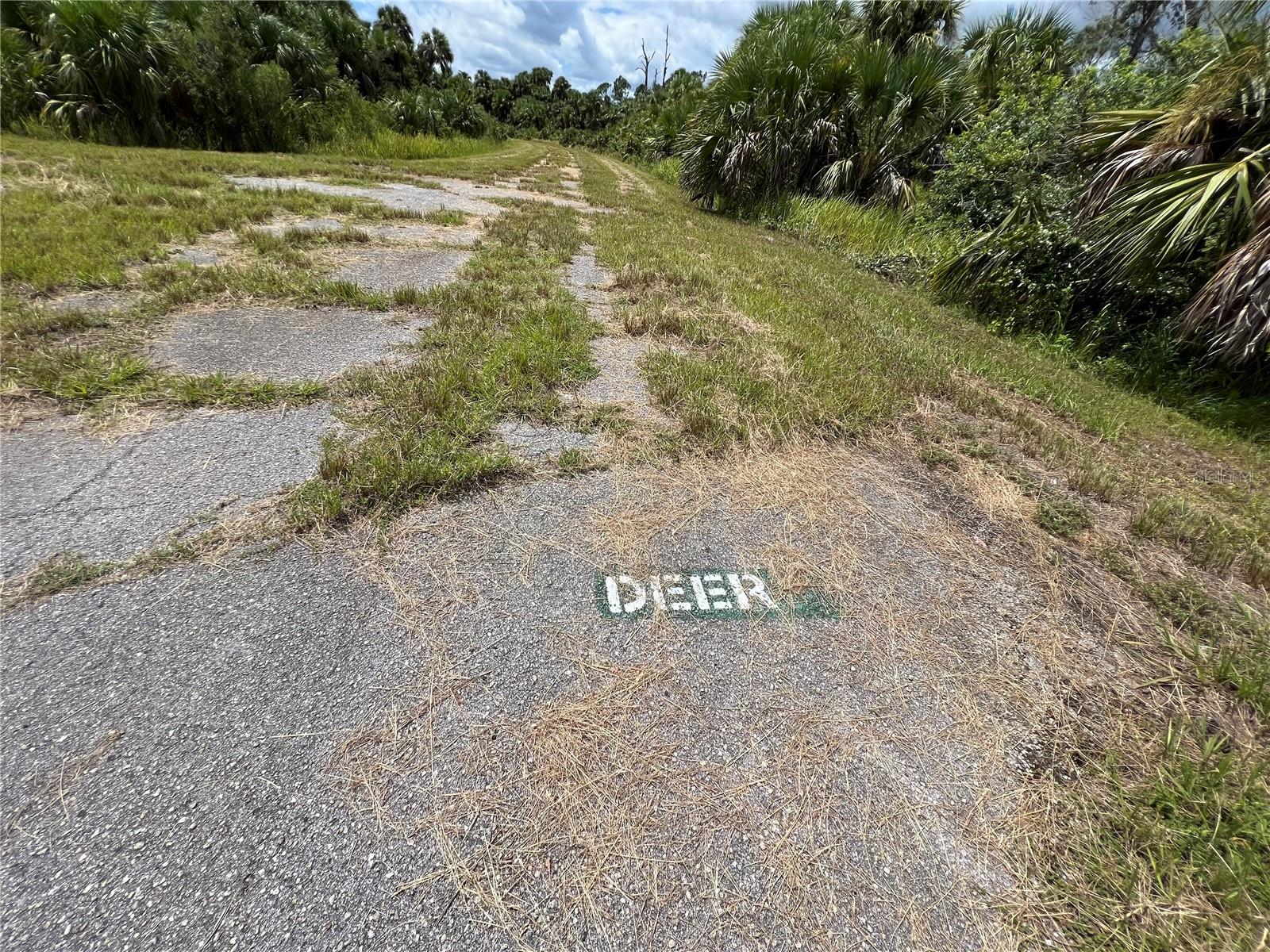 0 DEER PL