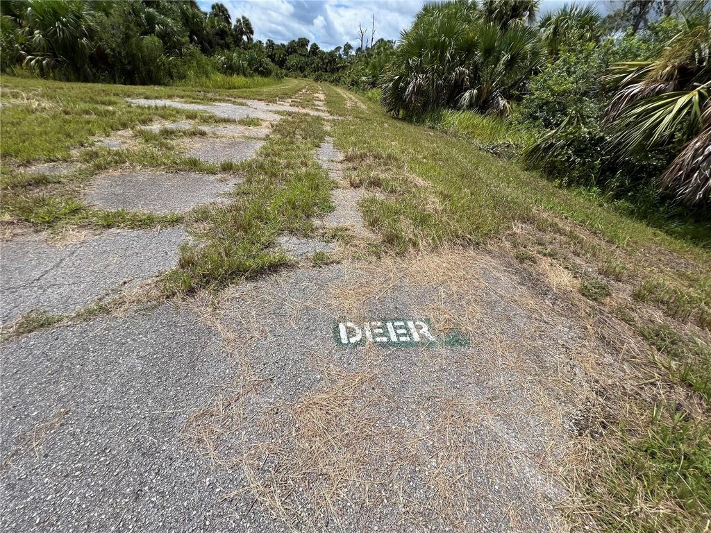 Photo of 0 Deer Pl, North Port, FL 34288 (MLS # U8173979)