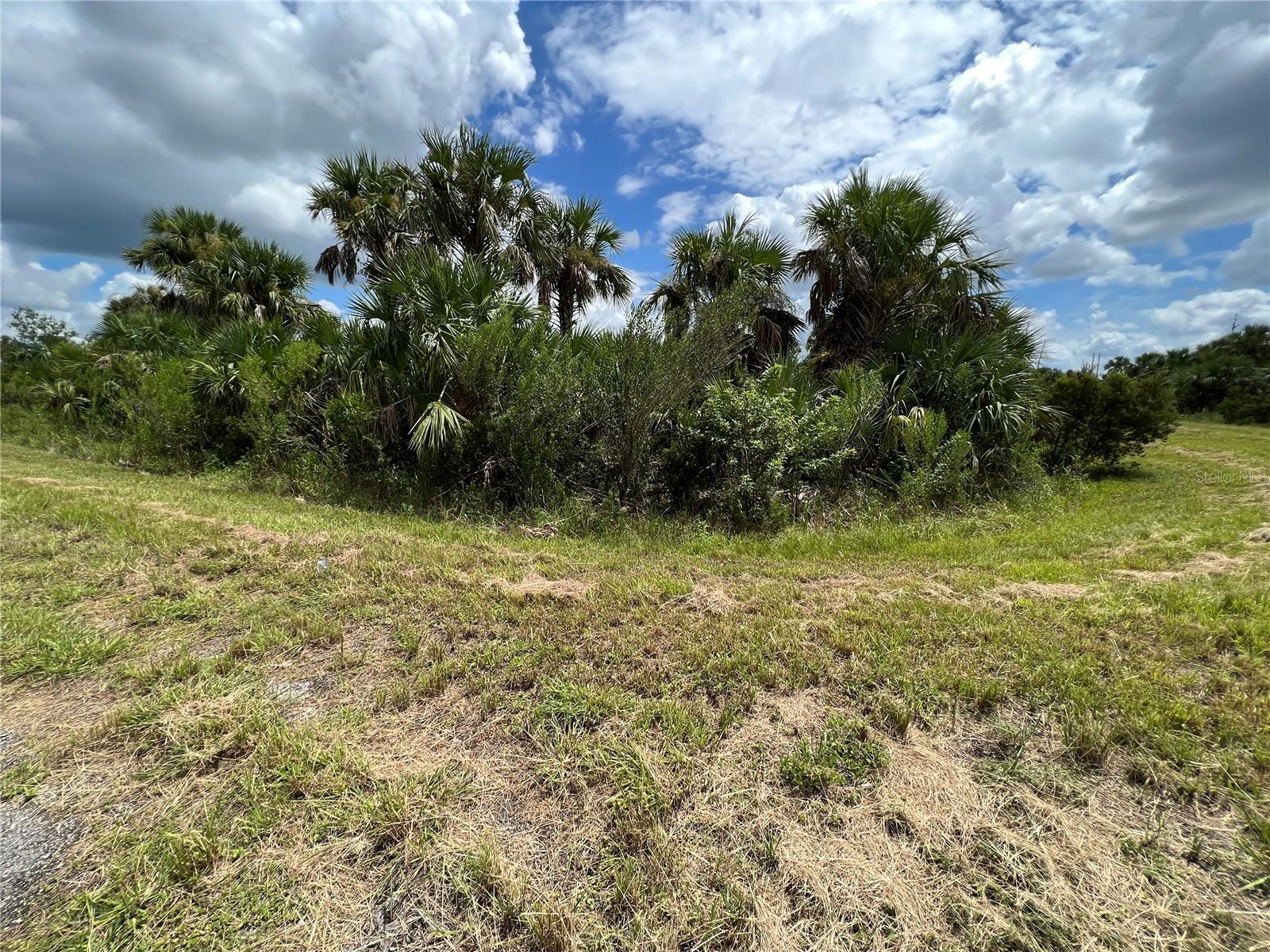 PORT CHARLOTTE SUB 46 - Land