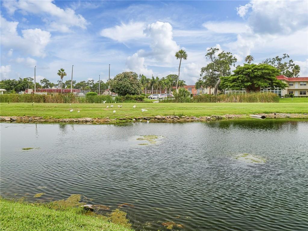 VISTA ROYALE PH IV BLDGS 83-111 - Residential