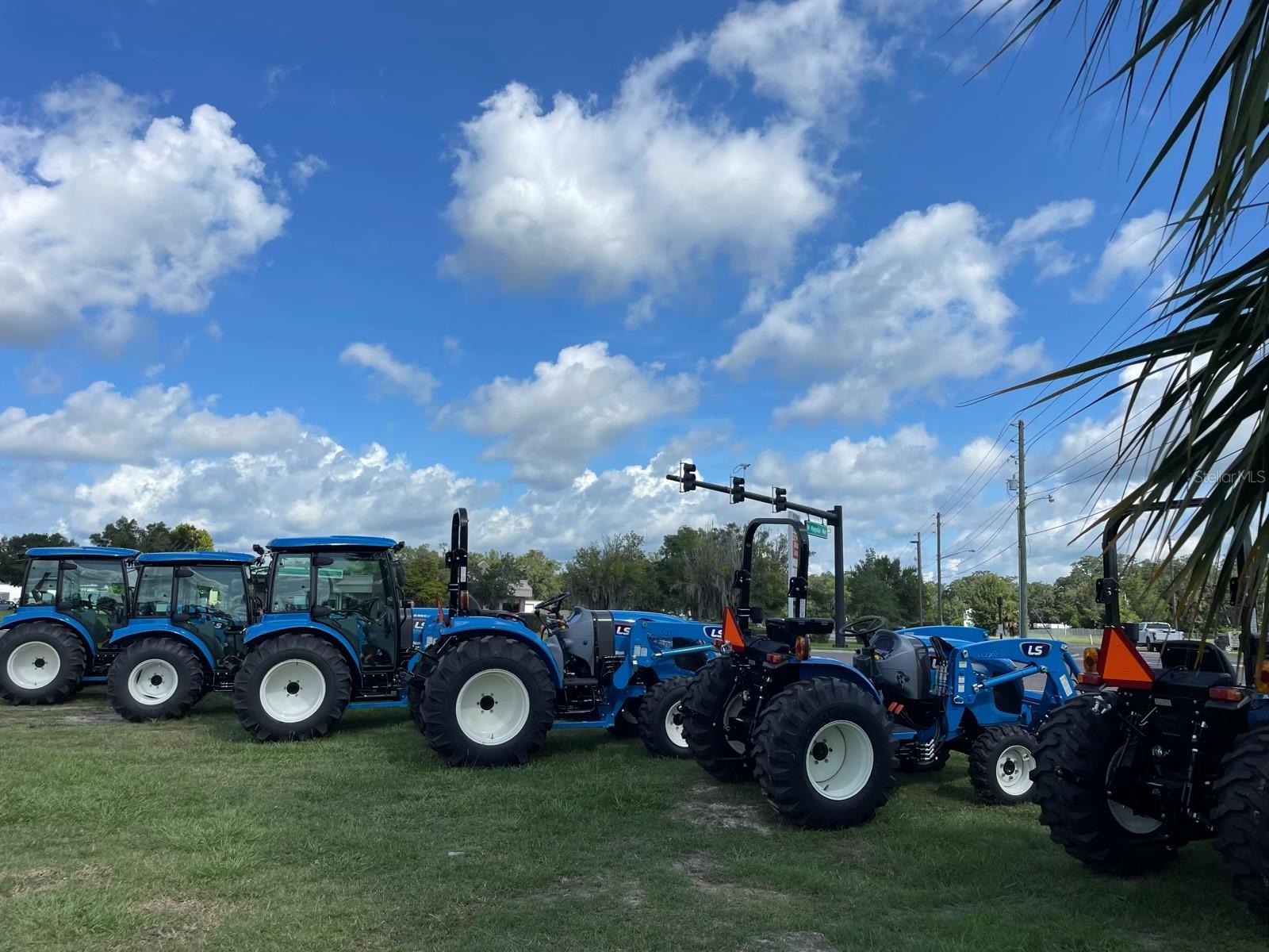 SCHEIB - Commercial Lease